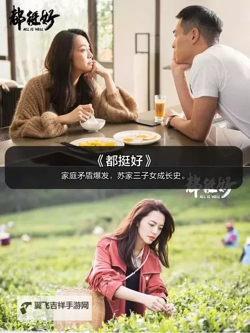 近年来最新的2019中文字幕在线资源盘点图1