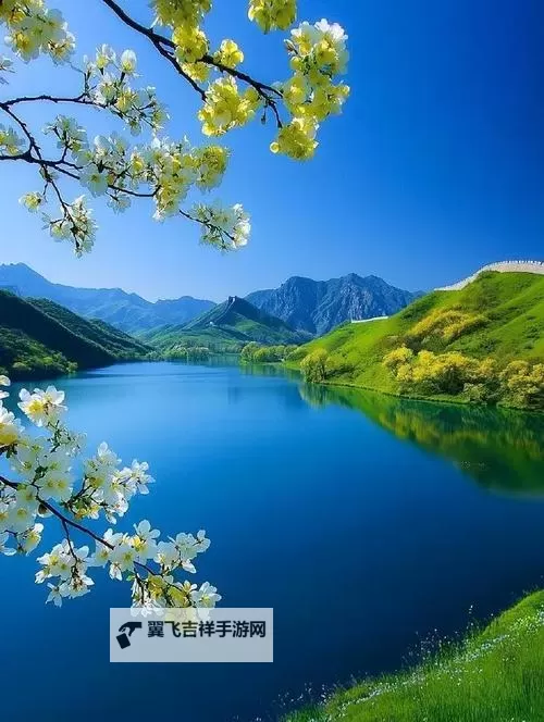 探索大波萝网站免费资源的最新指南图2