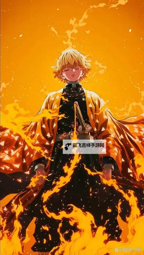 《暗夜格斗》衡星组——善逸·雷鸣图1