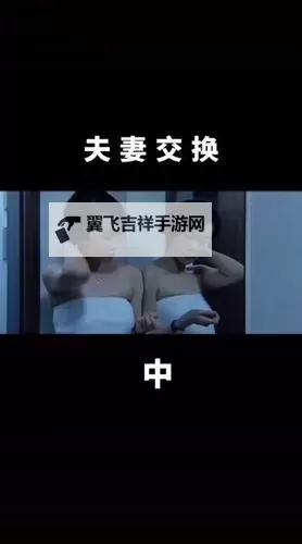 愉快的交换夫妇3中文：一次难忘的交流与探索图2