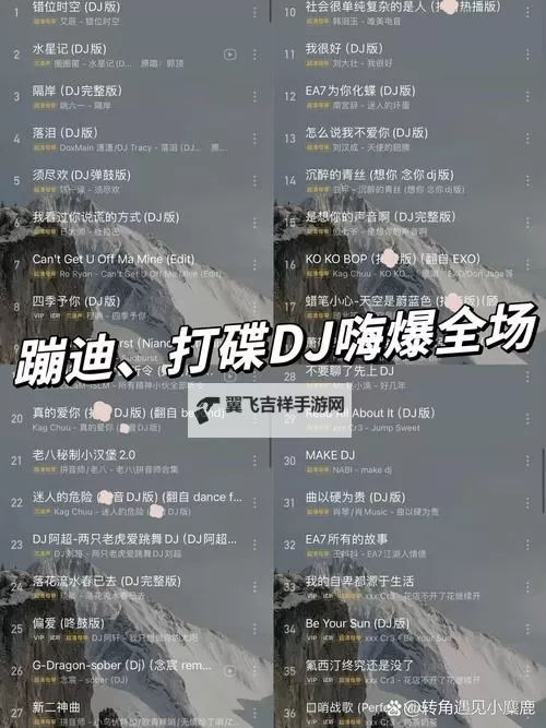 畅享音乐盛宴：中国DJ嗨嗨网带你领略最热电音潮流图1