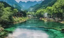 探索大波萝网站免费资源的最新指南
