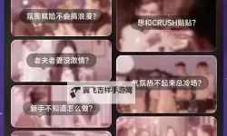 愉快的交换夫妇3中文：一次难忘的交流与探索