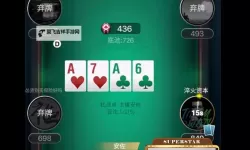 免费真实的扑克直播软件推荐：体验高质玩法无门槛