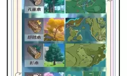 《原神》史莱姆讨伐攻略 史莱姆速刷路线