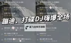 畅享音乐盛宴：中国DJ嗨嗨网带你领略最热电音潮流