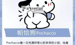 帕拉狗双开挂机软件推荐  怎么双开帕拉狗详细图文教程