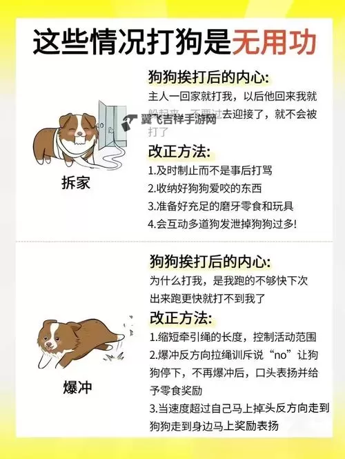 如何有效的方法:怎样教狗狗进入自己?图1