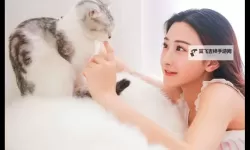 原来的神马电影在线观看免费：免费观看最新剧情与大片