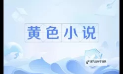 探秘国产视频小说：引领新潮的视觉与文字融合体验