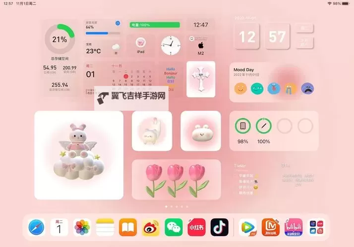 粉色十大禁用软件揭秘:哪些软件被禁止使用?图1