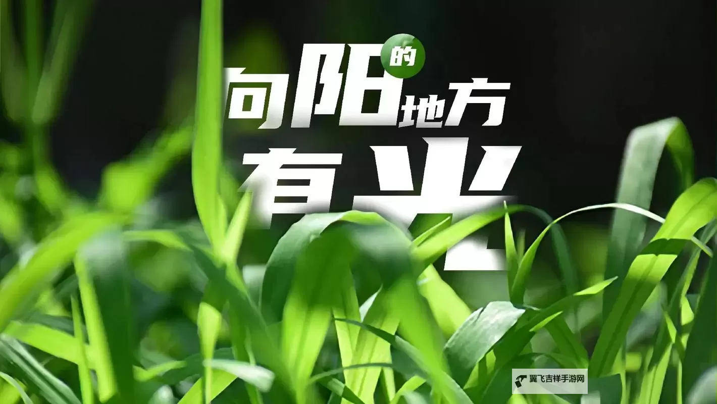 青草发布在线视频：掌握最新动态与精彩内容图1