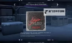 《CS2》上海major贴纸一览 上海major贴纸样式分享