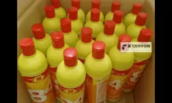 84强力打造免费播放大全：全面升级你的观影体验