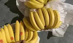 最新精品香蕉在线：尽享优质美味体验