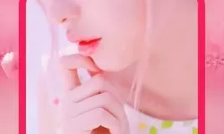 粉色十大禁用软件揭秘：哪些软件被禁止使用？