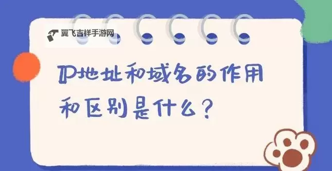 2023年8x8x8x域名解析IP地址查询详解与实用指南图1