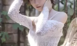 高清免费在线观看：探索精彩的一区二区有码电影世界