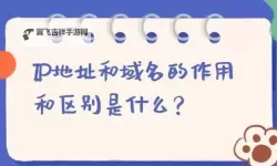 2023年8x8x8x域名解析IP地址查询详解与实用指南