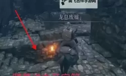 《艾尔登法环》观星者加点推荐 艾尔登法环观星者前期玩法攻略