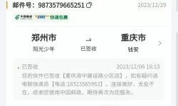 《崩坏星穹铁道》云璃全方位养成攻略 云璃光锥遗器及配队推荐