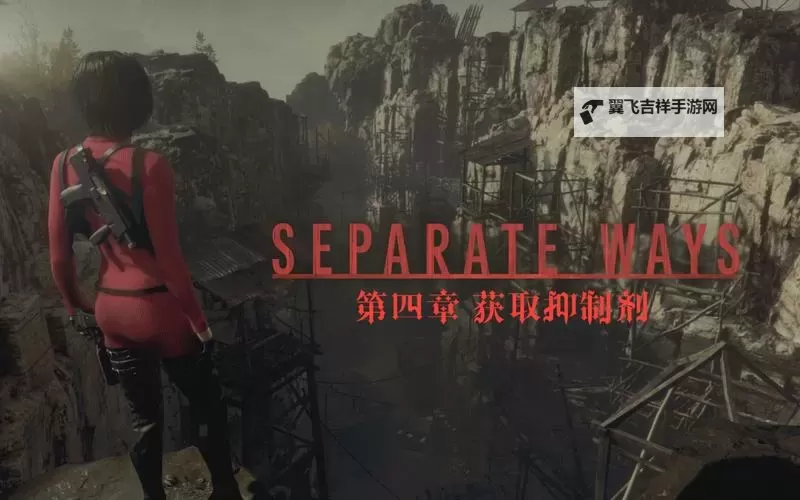 《生化危机4重制版》逆命殊途DLC悬赏任务除虫行动攻略图1