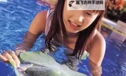 小仓优子在线看：最佳在线观看平台推荐
