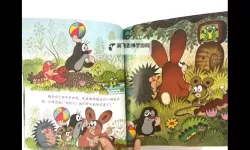 《鼹鼠同行之森林之家》新手攻略：萌新鼹鼠入门攻略指南！《鼹鼠同行之森林之家》《鼹鼠同行之森林之家》