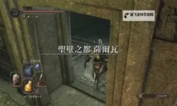 黑暗之魂2原罪学者 魔法伤害详解 魔法伤害数据计算