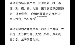 《金庸群侠传5》苗家剑法学习方法 苗家剑法怎么学