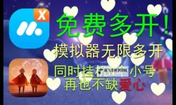 寻光之旅怎么双开、多开？寻光之旅双开助手工具下载安装教程