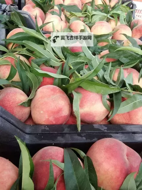 享受甜蜜时光：探索蜜桃精品的绝妙滋味图1