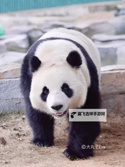 神偷4 图文攻略图2