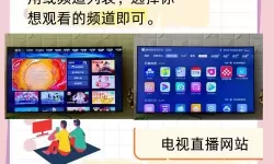 电视如何观看网页视频的实用指南