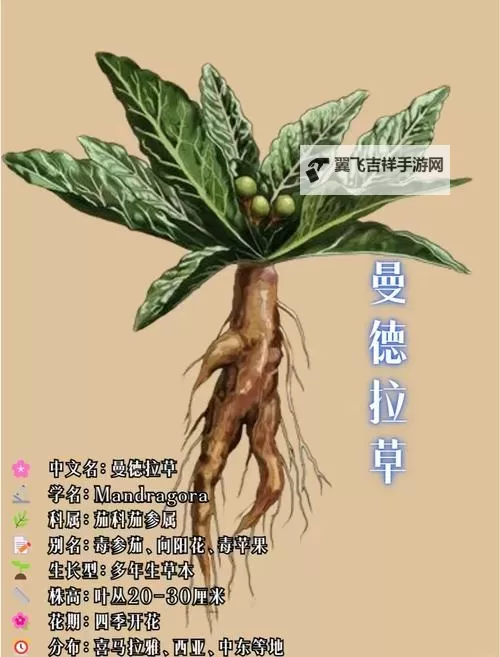 《霍格沃茨之遗》曼德拉草获取方法 曼德拉草怎么获得图1
