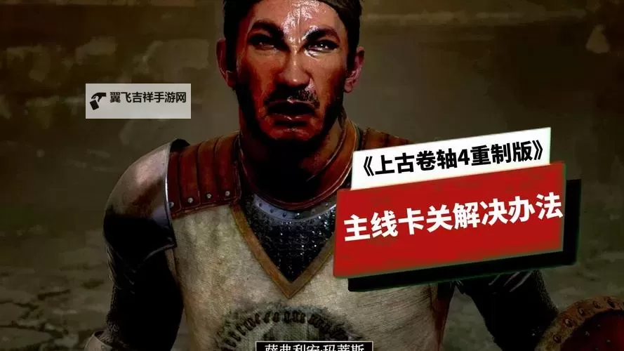 《上古卷轴4重制版》杰洛特捏脸分享图1