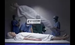 真正的人类已经死了：反思文明的终结与未来的重塑