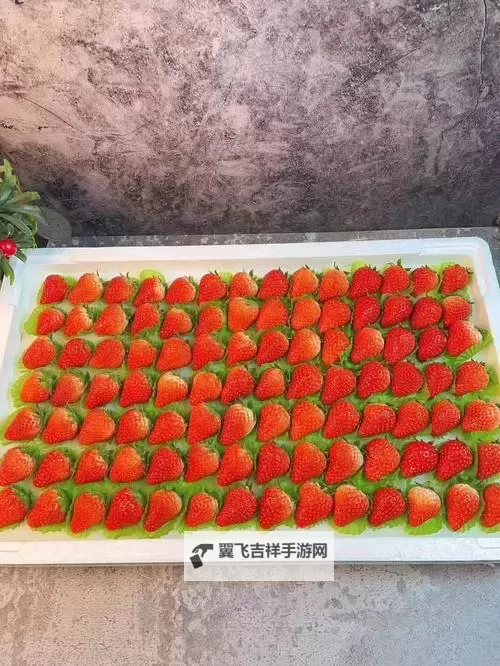 探索午夜惊喜：草莓视频深夜福利全揭秘图1