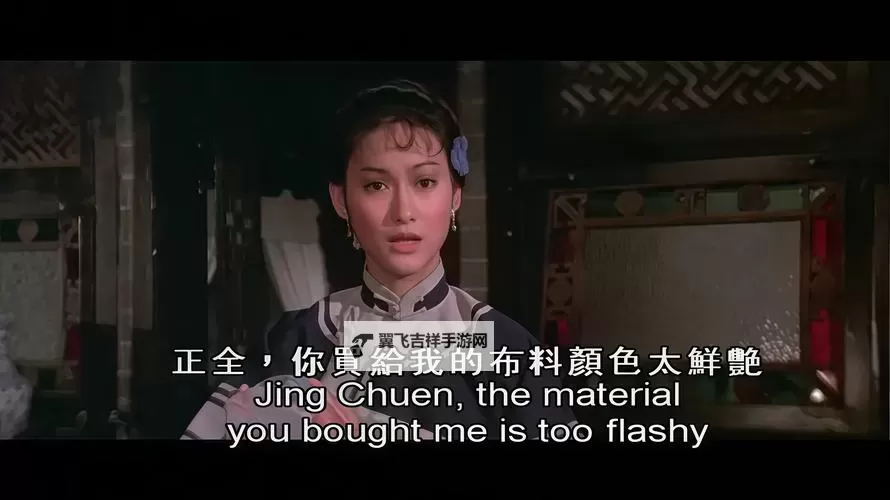 温馨陪伴：中国bgmbgmbgm老人在线观看温情时光图1