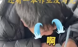 坐在鸡上写作业好疼：学生的奇怪困境与思考