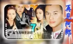 《再见阿郎第三部：命运交错的续篇》