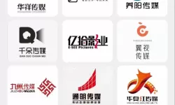 国产传媒崛起：引领新时代文化传播的新风尚