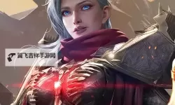 星骸骑士电脑版下载 推荐好用的星骸骑士电脑版模拟器下载