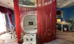 主题房酒店TP：打造精品体验的大学生特点解析