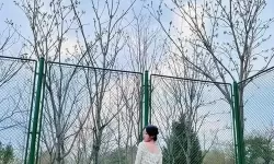 揭秘！佐藤江梨花种子的奇幻旅程