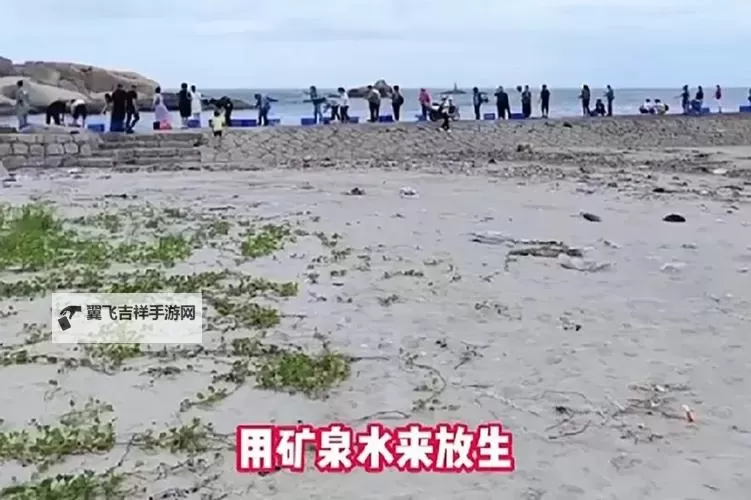 中年男女站在载羊货车旁要求放生引发动物保护热议图1