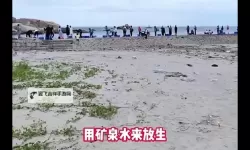 中年男女站在载羊货车旁要求放生引发动物保护热议