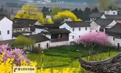 《这就是江湖》新手攻略之：新手职业选择 新手职业怎么选？