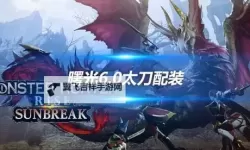 《怪物猎人崛起》曙光6.0寒气太刀配装分享