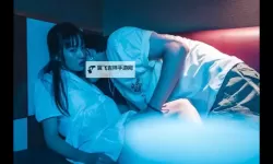 二人打扑克免费观看日韩：精彩对决一触即发